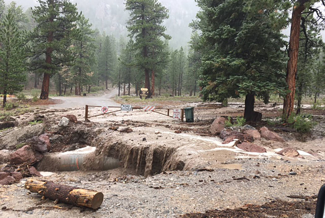 Flooding on Mount Charleston (Clark County Fire Department)
