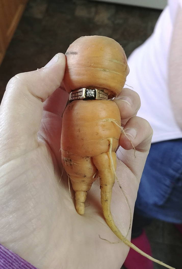 In an undated photo provided by Iva Harberg, Mary Grams, 84, holds a carrot that grew through her engagement ring in Alberta, Canada. (Iva Harberg/The Canadian Press via AP)