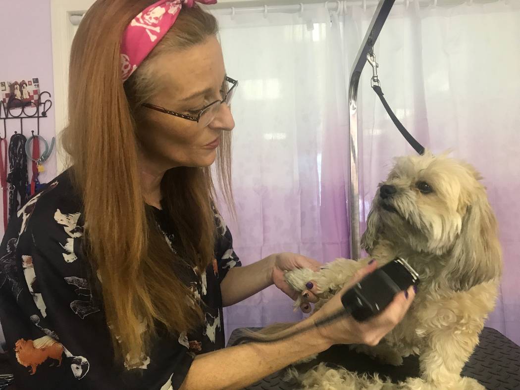 North Las Vegas dog groomer keeps business in the family North Las