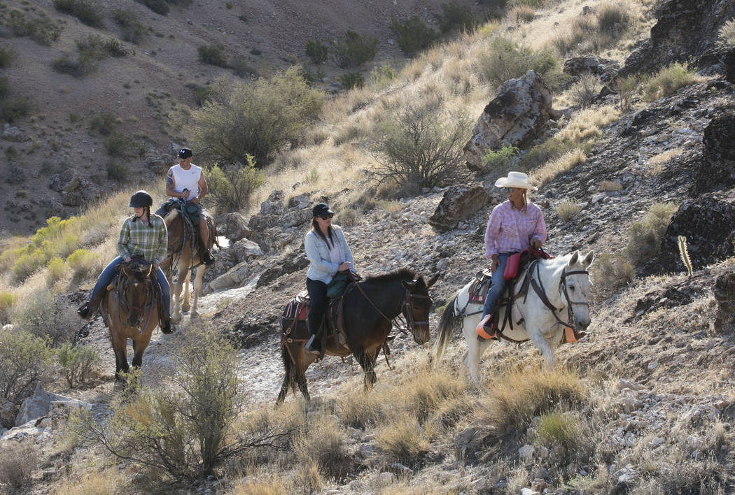 Mary Rose Santoro, front, leads a two-hour horseback riding tour of Red Rock Canyon on Monday, Aug. 28, 2017, in Las Vegas. Bizuayehu Tesfaye Las Vegas Review-Journal @bizutesfaye