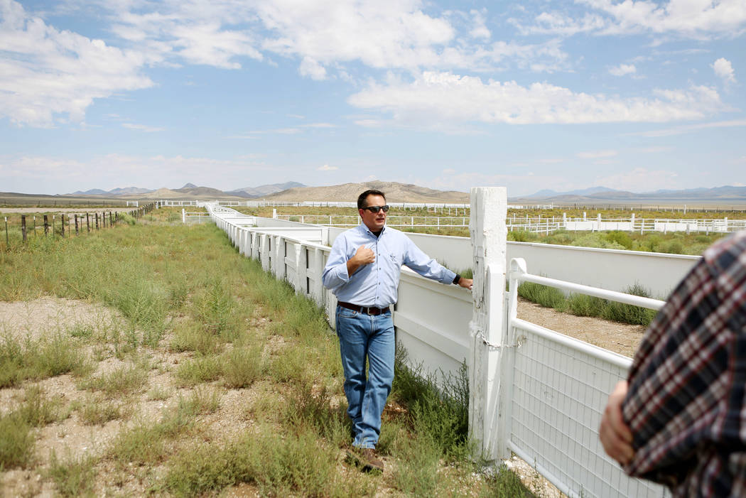 Director of the resources and facilities for the Southern Nevada Water Authority Zane Marshall shows the new sheep coral Great Basin Ranch in Dry Lake Valley, Monday, Aug. 7, 2017. Elizabeth Bruml ...