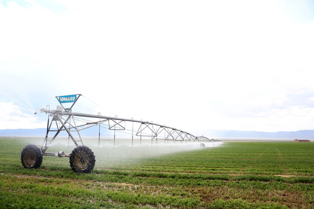 Central irrigation pivots water alfalfa on the Great Basin Ranch in Spring Valley, Monday, Aug. 7, 2017. Elizabeth Brumley Las Vegas Review-Journal