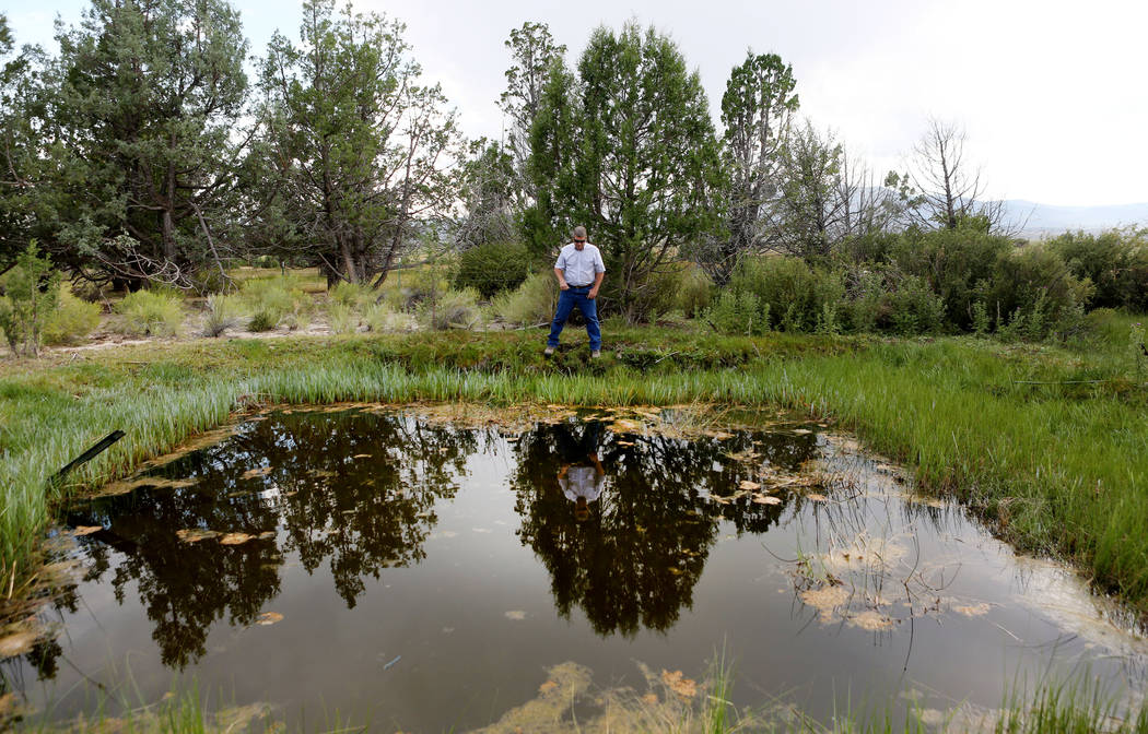 Ranch and resource manager Bernard Petersen explains the Shoshone Ponds that flows on the Great Basin Ranch in Spring Valley, Monday, Aug. 7, 2017. Elizabeth Brumley Las Vegas Review-Journal