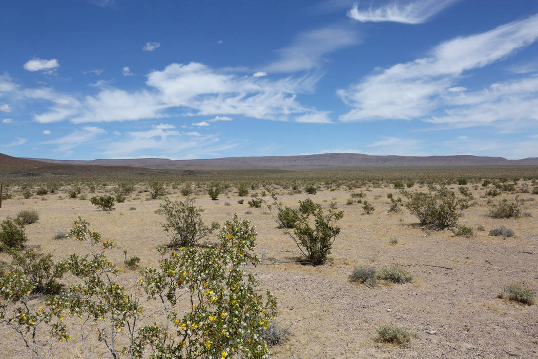Yucca Mountain, the proposed site for a nuclear waste repository, is seen from Crater Flat where dormant cinder cone volcanos dot the desert floor, on Monday, May 22, 2017. (Michael Quine/Las Vega ...