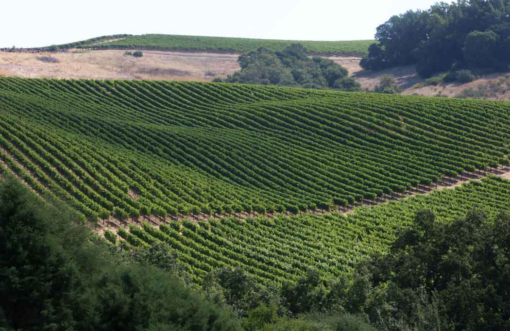 Chalk Hill Estate Vineyards, owned by the Vegas Golden Knights owner Bill Foley, in Healdsburg, Calif., on Wednesday, Aug. 2, 2017. Bizuayehu Tesfaye Las Vegas Review-Journal @bizutesfaye