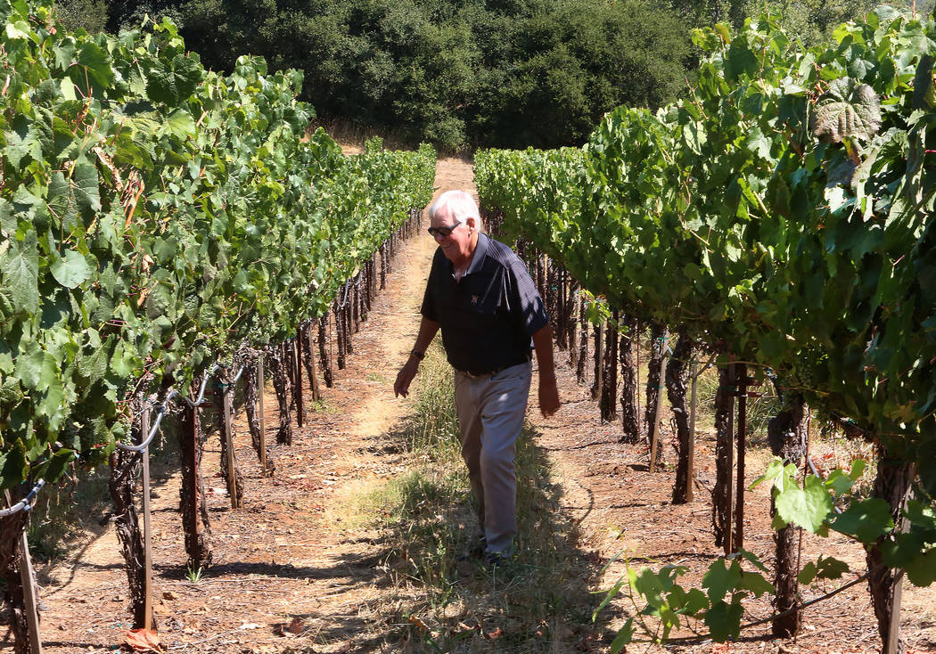 The Vegas Golden Knights owner Bill Foley at one of his Chalk Hill Estate vineyards in Healdsburg, Calif., on Wednesday, Aug. 2, 2017. Bizuayehu Tesfaye Las Vegas Review-Journal @bizutesfaye