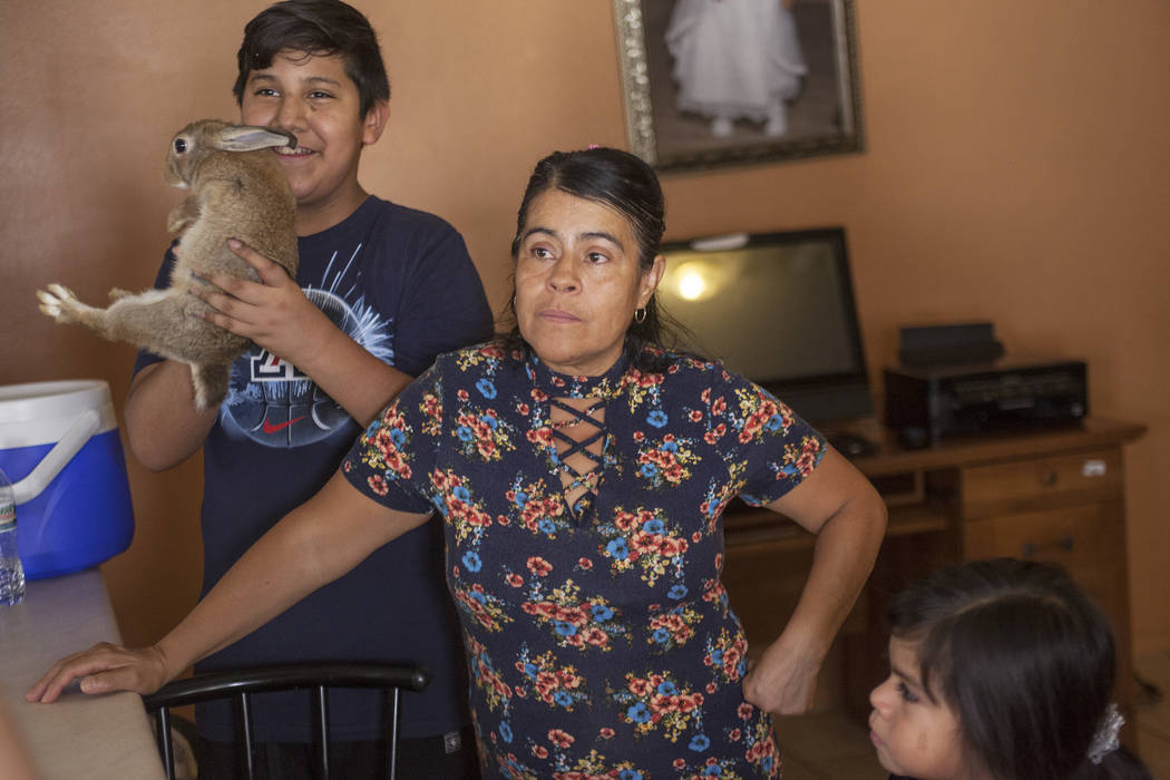 Jacob Meneses, 13, holds Brownie II, from left, next to his mother Ivon Meneses and his sister Ruby Estrada, 4, in their home in Las Vegas, Thursday, Aug. 10, 2017. Ivon fears a change in current ...