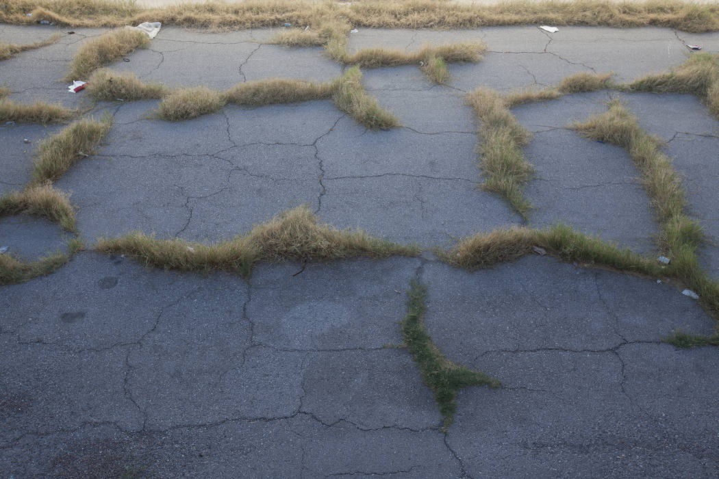 Overgrown weeds at the Moulin Rouge property in Las Vegas, Thursday, Sept. 14, 2017. Rachel Aston Las Vegas Review-Journal @rookie__rae