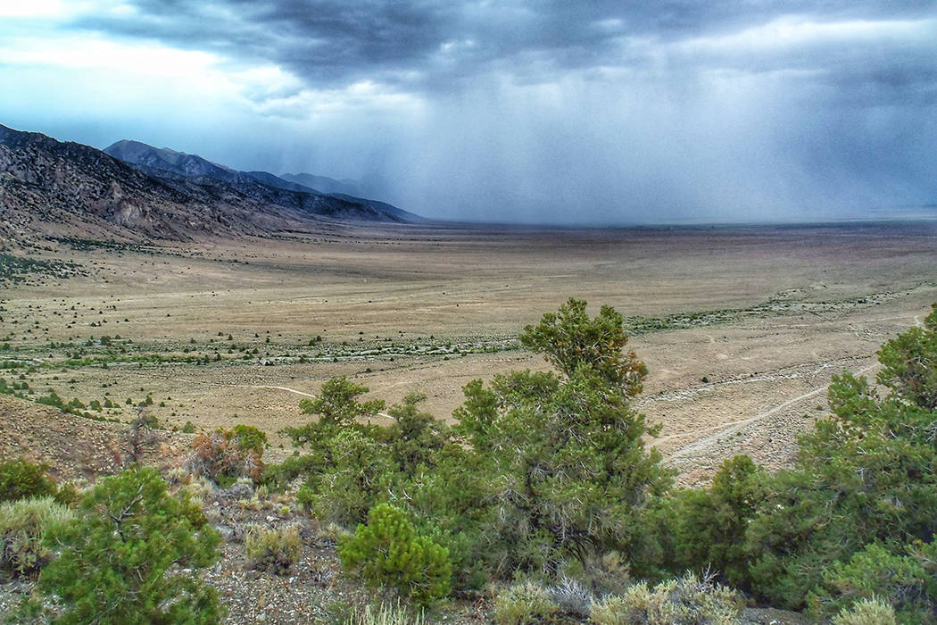 A storm moves through Big Smoky Valley in Central Nevada.  (Patrick Donnelly/Center for Biological Diversity)