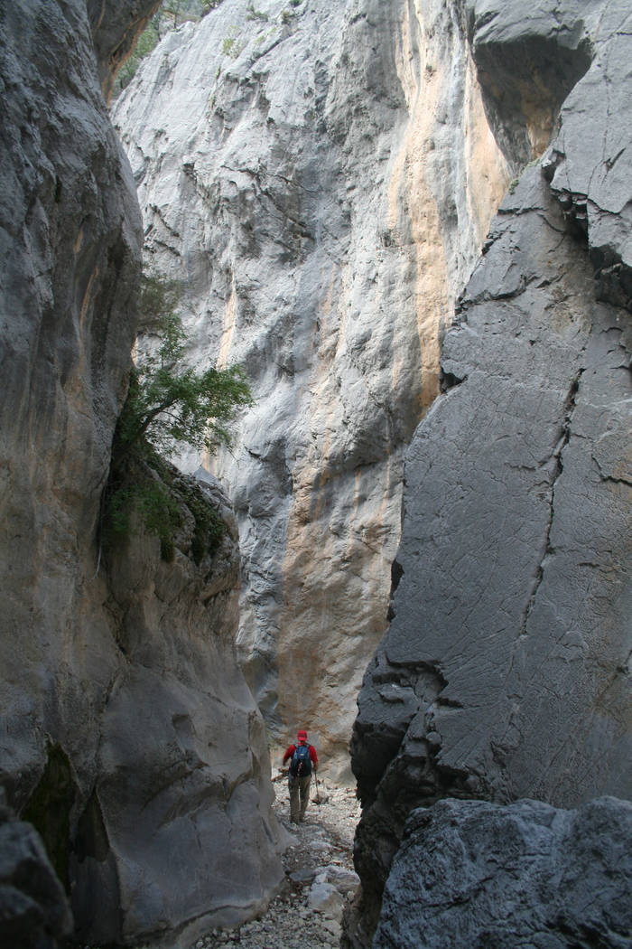 The narrow section of the Fletcher Canyon Trail in the Spring Mountains National Recreation Area. (Deborah Wall)