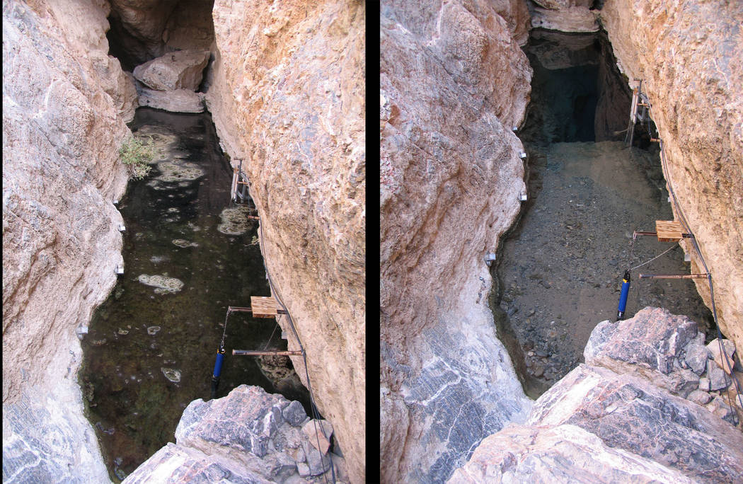 Mexico quakes rattle Nevada's endangered Devils Hole pupfish | Las ...