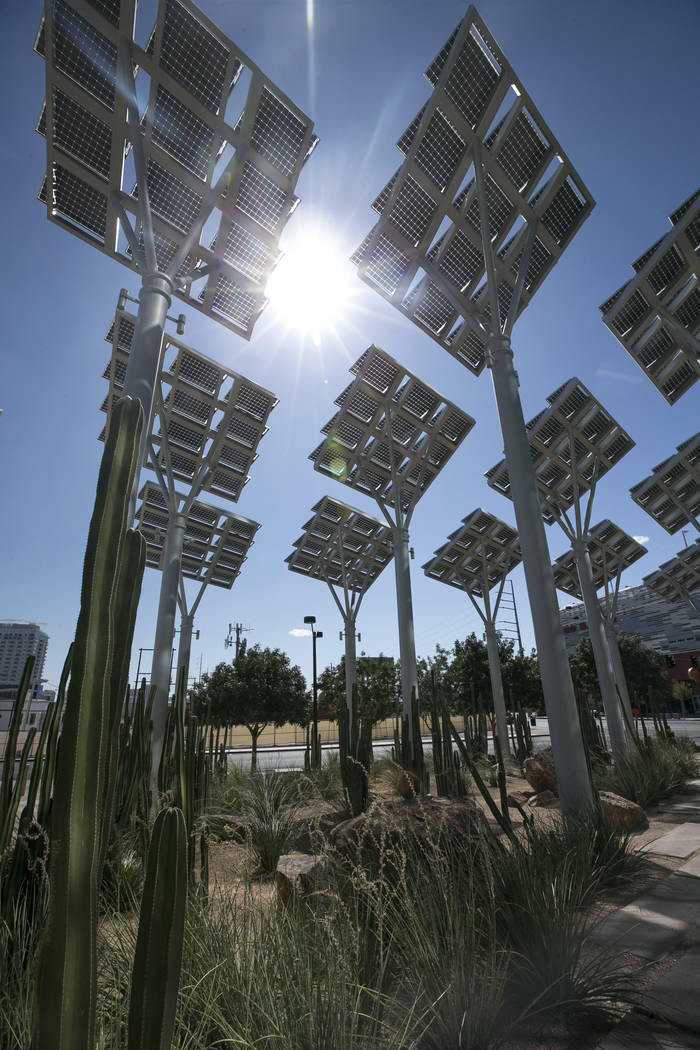 Rows of solar panels soak up the sun’s rays outside Las Vegas City Hall