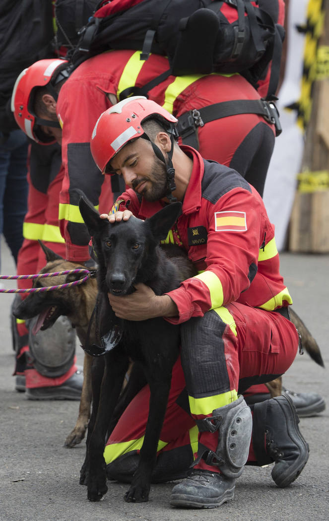 A rescue worker from Spain pets a search dog before they enter a felled office building to search for earthquake survivors in the Roma Norte neighborhood of Mexico City, Saturday, Sept. 23, 2017.  ...
