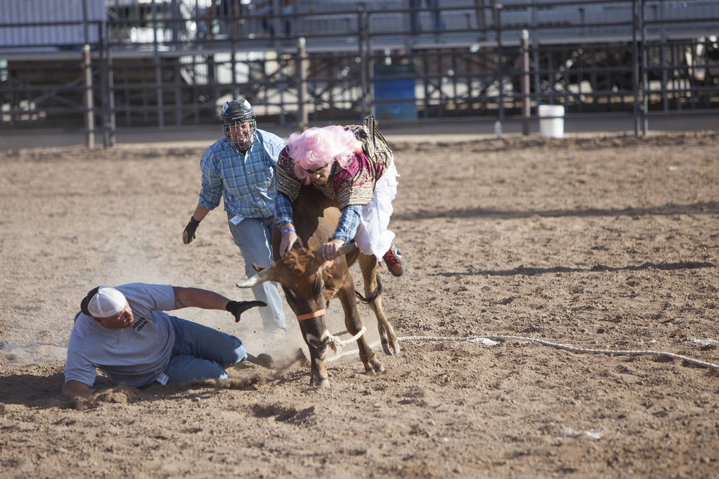 Contestants compete in the Wild Drag Race at the Bighorn Rodeo at Horseman's Park in Las Vegas, Saturday, Sept. 23, 2017. Contestants must mount a person dressed in drag on a steer and cross back  ...