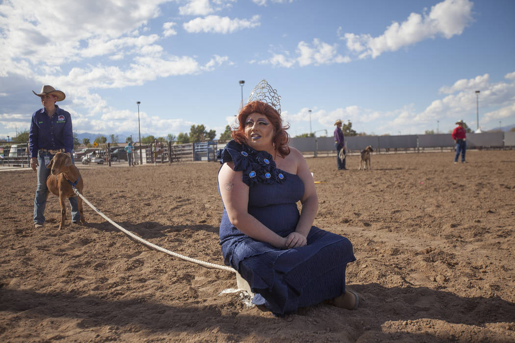 Phat Patty, the Miss NGRA of 2017, sits on a rope to keep a goat in place before the goat dressing tournament where teams try to put underwear on a  goat the fastest at Horseman's Park in Las Vega ...