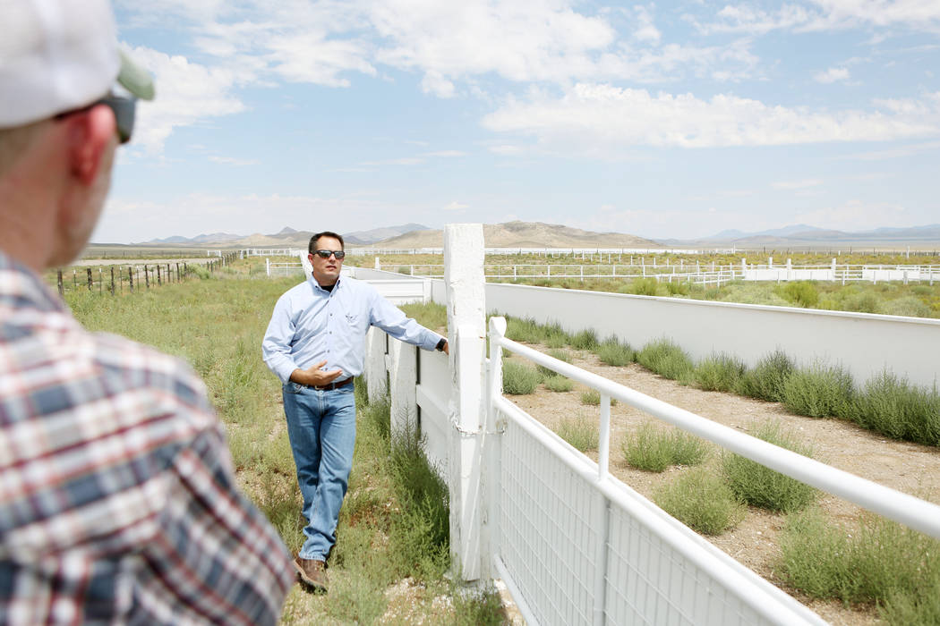 Zane Marshall, director of the resources and facilities for the Southern Nevada Water Authority, shows the new sheep coral Great Basin Ranch in Dry Lake Valley, Monday, Aug. 7, 2017. (Elizabeth Br ...