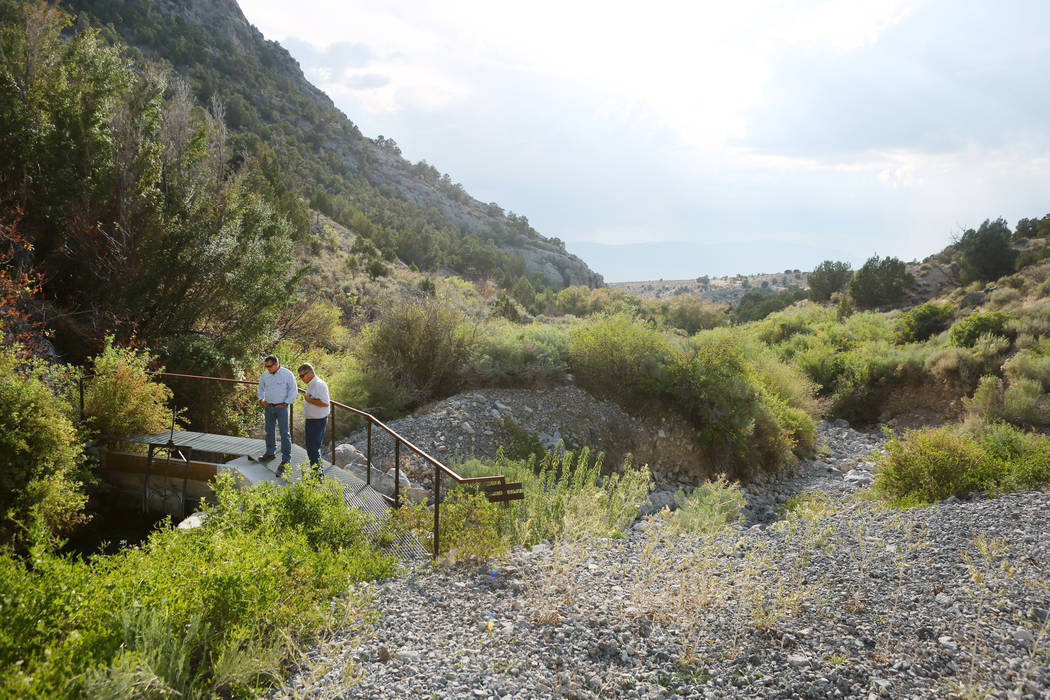 Ranch and resource manager Bernard Petersen, left, and Zane Marshall , director of resources for the Southern Nevada Water Authority, look at Swallow Spring at Great Basin Ranch in Spring Valley i ...