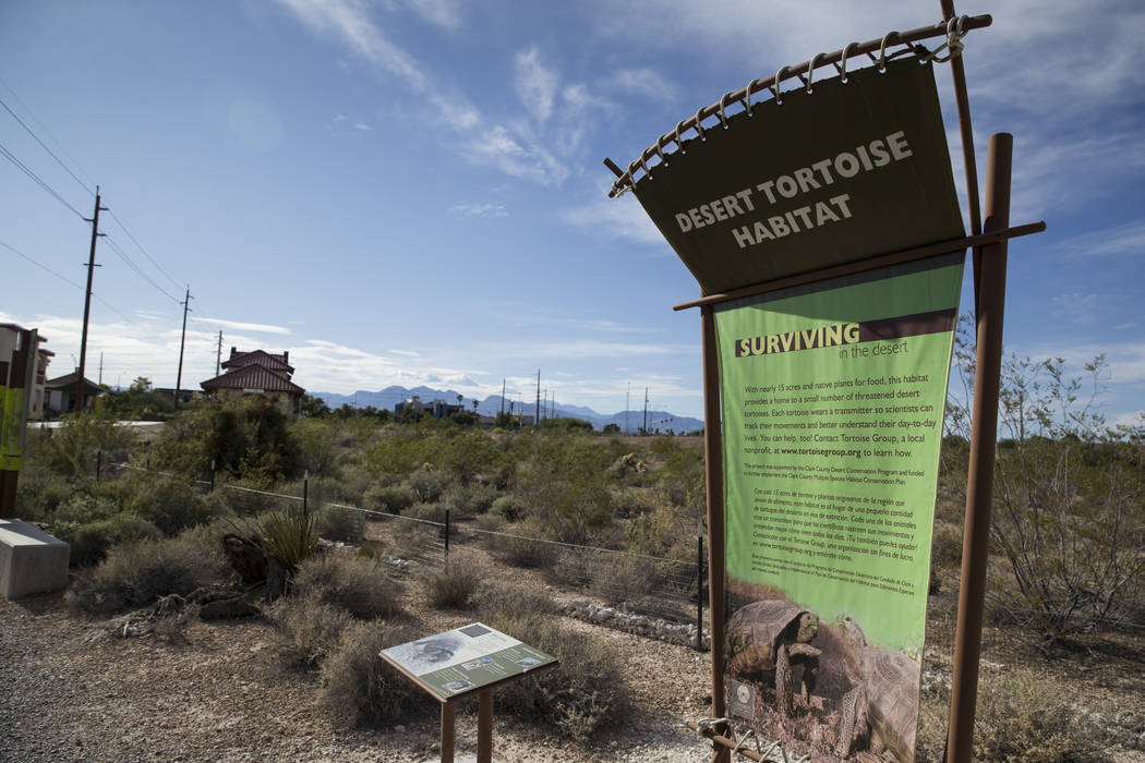 The Desert Tortoise Habitat at Springs Preserve in Las Vegas, Tuesday, Sept. 26, 2017. Erik Ver ...