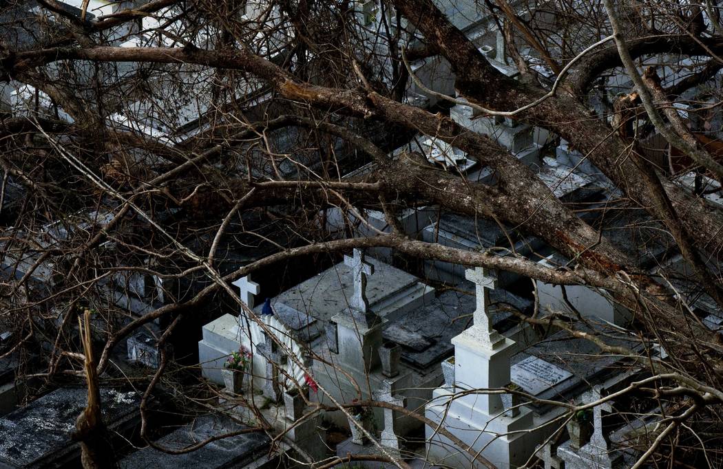 Downed trees rest on tombs at the cemetery of Lares after the passing of Hurricane Maria, in Puerto Rico, Tuesday, Sept. 26, 2017. (Ramon Espinosa/AP)