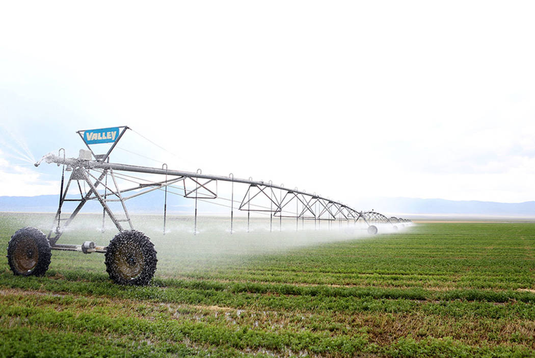 Central irrigation pivots water alfalfa on the Great Basin Ranch in Spring Valley, Monday, Aug. 7, 2017. Elizabeth Brumley Las Vegas Review-Journal