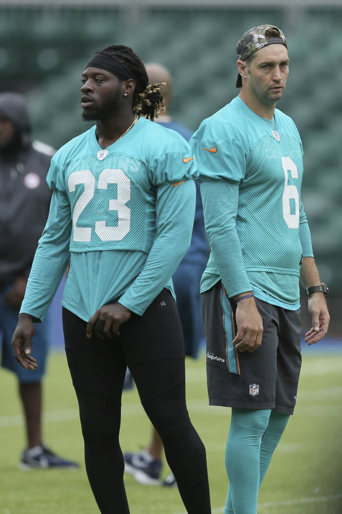 Miami dolphins tights shop