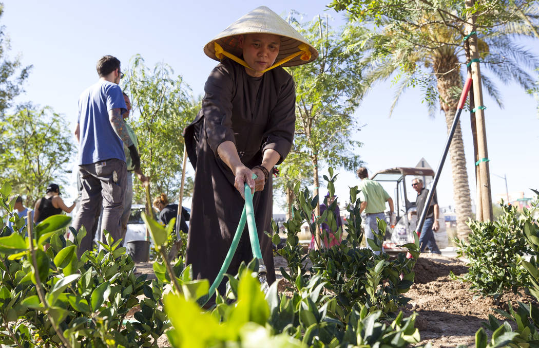 Buddist nun Hang Vo waters plants as she volunteers at an under-construction community healing garden located at South Casino Center and East Charleston boulevards in downtown Las Vegas, Thursday, ...