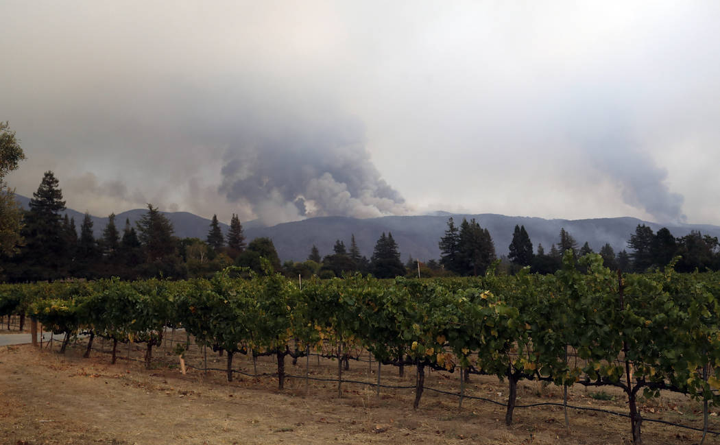 Vineyards are lined up as a wildfire burns on a mountaintop Monday, Oct. 9, 2017, in Napa, Calif. (AP Photo/Marcio Jose Sanchez)