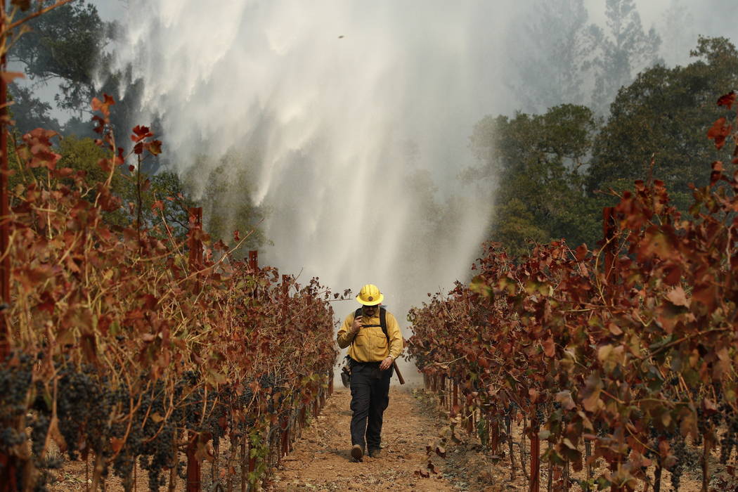 Firefighter Chris Oliver walks between grape vines as a helicopter drops water over a wildfire burning near a winery Saturday, Oct. 14, 2017, in Santa Rosa, Calif. Fire crews made progress this we ...