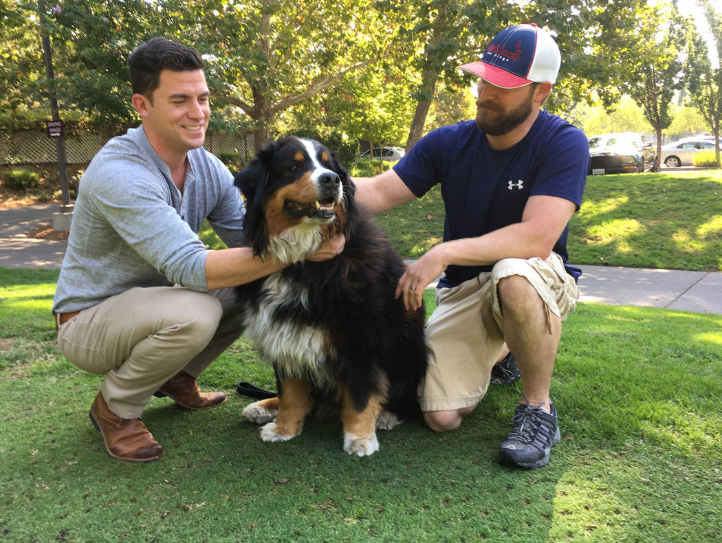 Jack Weaver, left, and his brother in law, Patrick Widen, pose with Izzy, a 9-year-old Bernese Mountain Dog, who belongs to Weaver's parents, Saturday, Oct. 14, 2017, in Windsor, Calif. (AP Photo/ ...