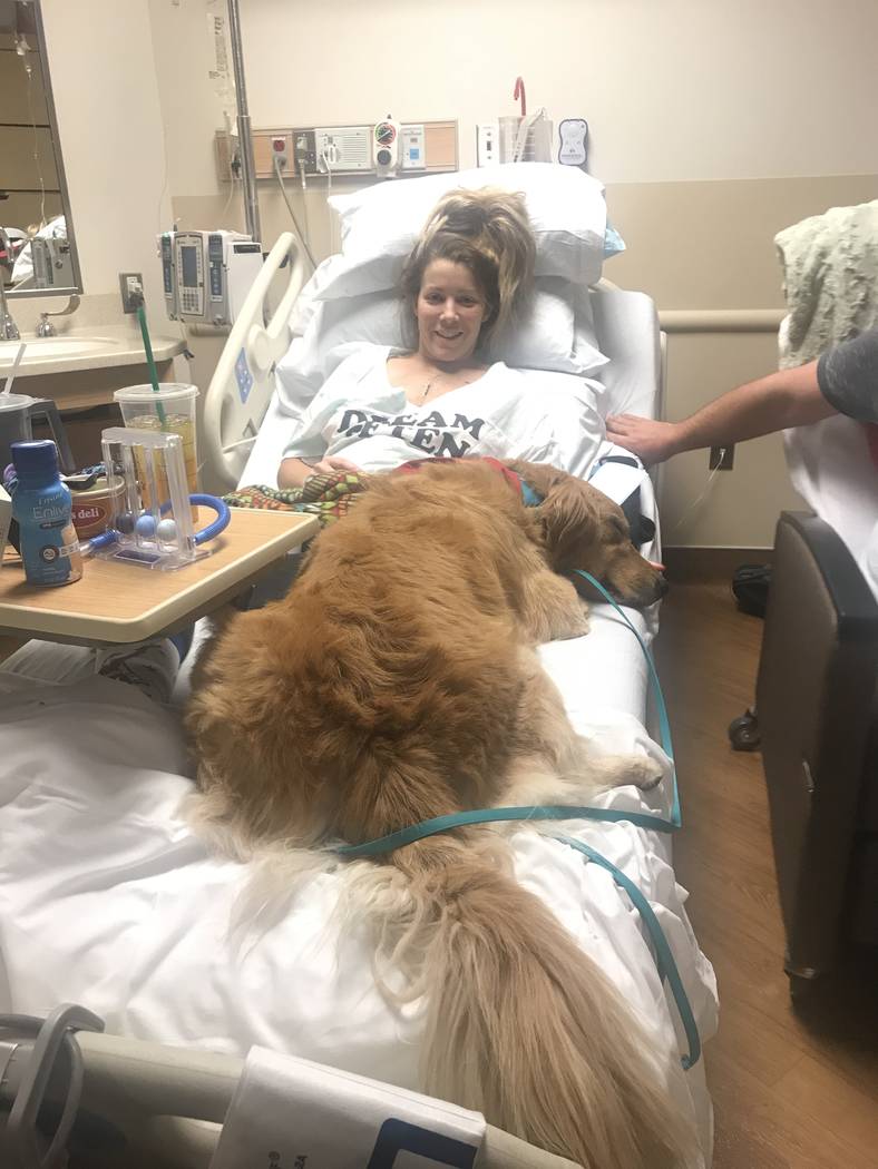 Therapy dogs, owners comforting Las Vegas shooting victims Southwest