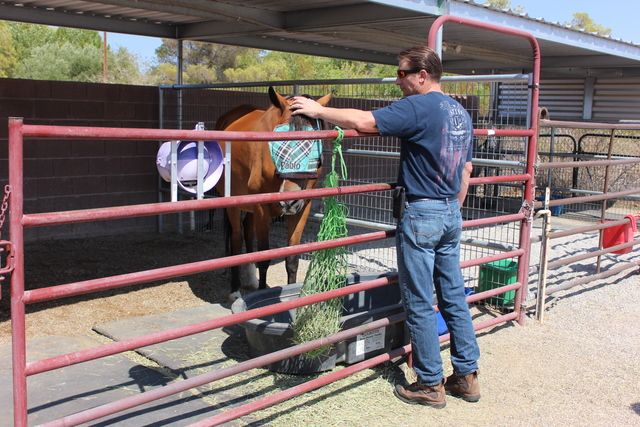 Bill Emmel pets a horse at Spirit Therapies, which helps soldiers with PTSD. Emmel created the nonprofit 22 Warriors Foundation to help combat veteran suicide. Special to View