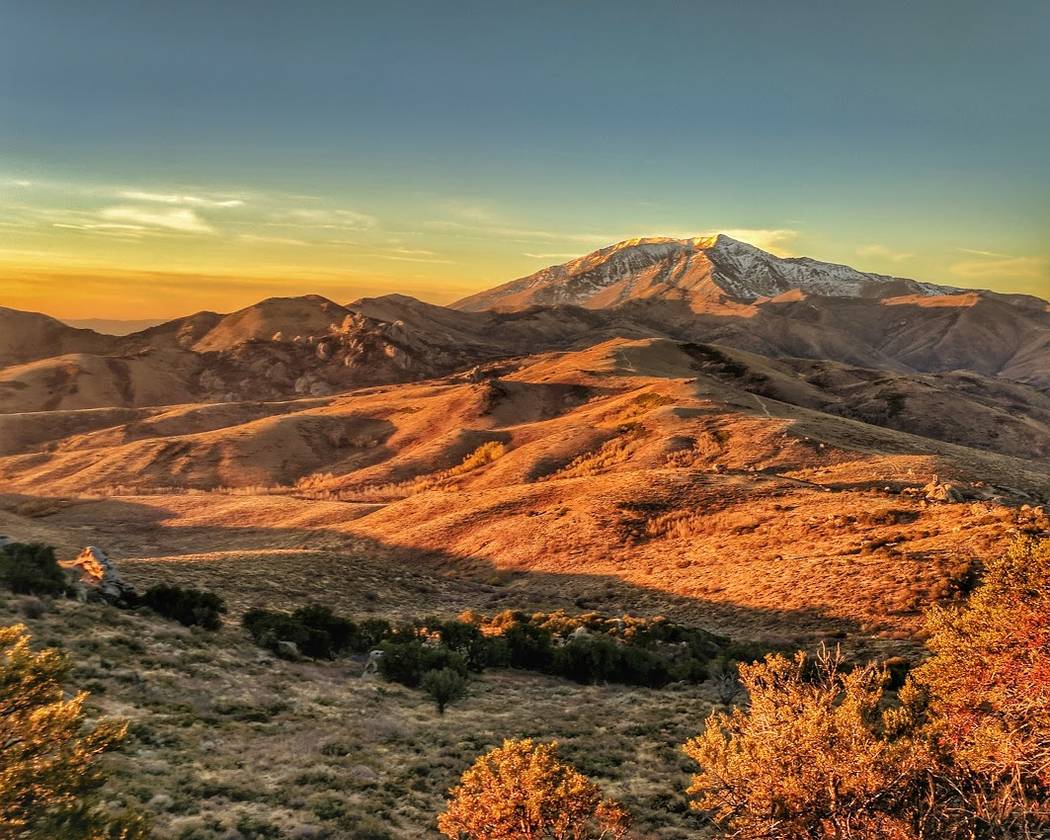 Orange sunlight bathes a patch of the Ruby Mountains currently being evaluated for possible lease to oil and gas developers. Patrick Donnelly/Center for Biological Diversity