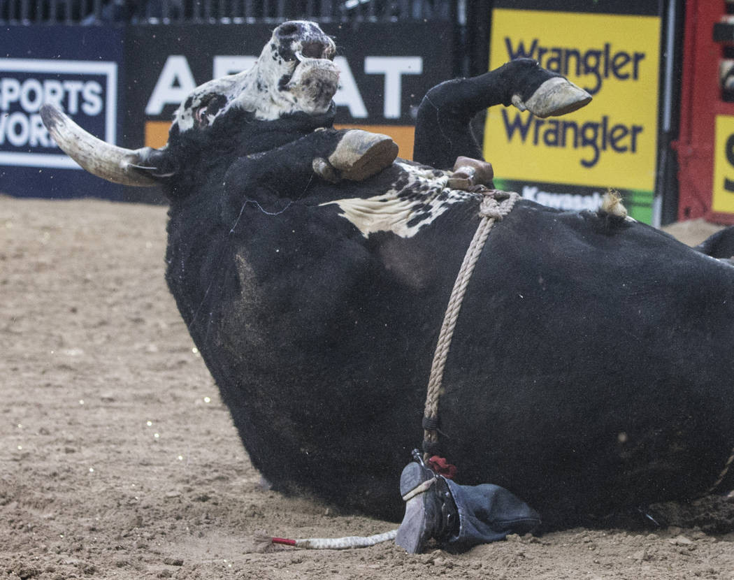 Ryan Dirteater gets pinned underneath Minion Stuart during the Professional Bull Riders World Finals on Sunday, Nov. 5, 2017, at T-Mobile Arena, in Las Vegas. Benjamin Hager Las Vegas Review-Journ ...