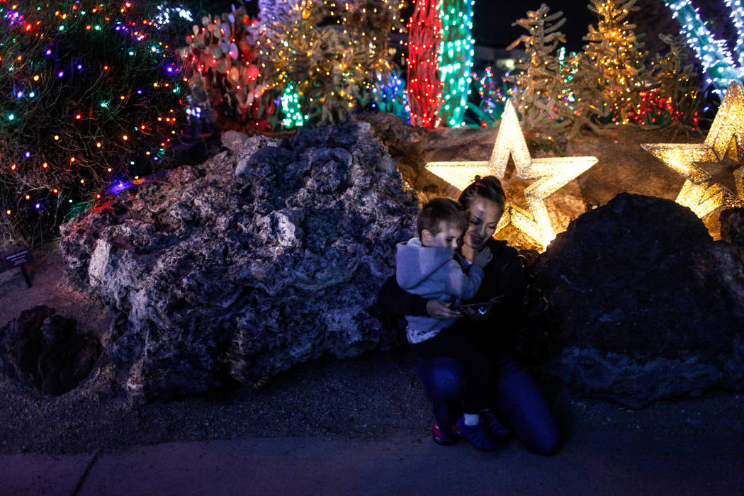 Sebastian Robertson, 3, left, holds onto his mother Cristina Robertson, 39, right, both of Las Vegas, during the 24th Annual Holiday Cactus Garden in Henderson, Tuesday, Nov. 7, 2017. Joel Angel J ...