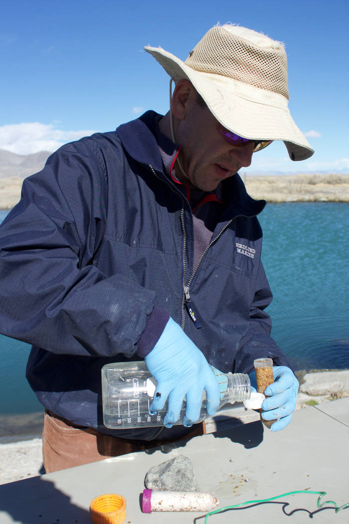 Brian Hedlund processes samples with Great Boiling Spring in the background. (UNLV)