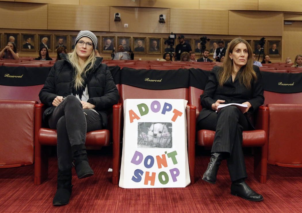 Tracy Newmarch, left, and Denis Truscello, who oppose the repeal of a ban that would keep pet stores from selling non-rescue animals, attend the City Council meeting at Las Vegas City Hall Wednesd ...