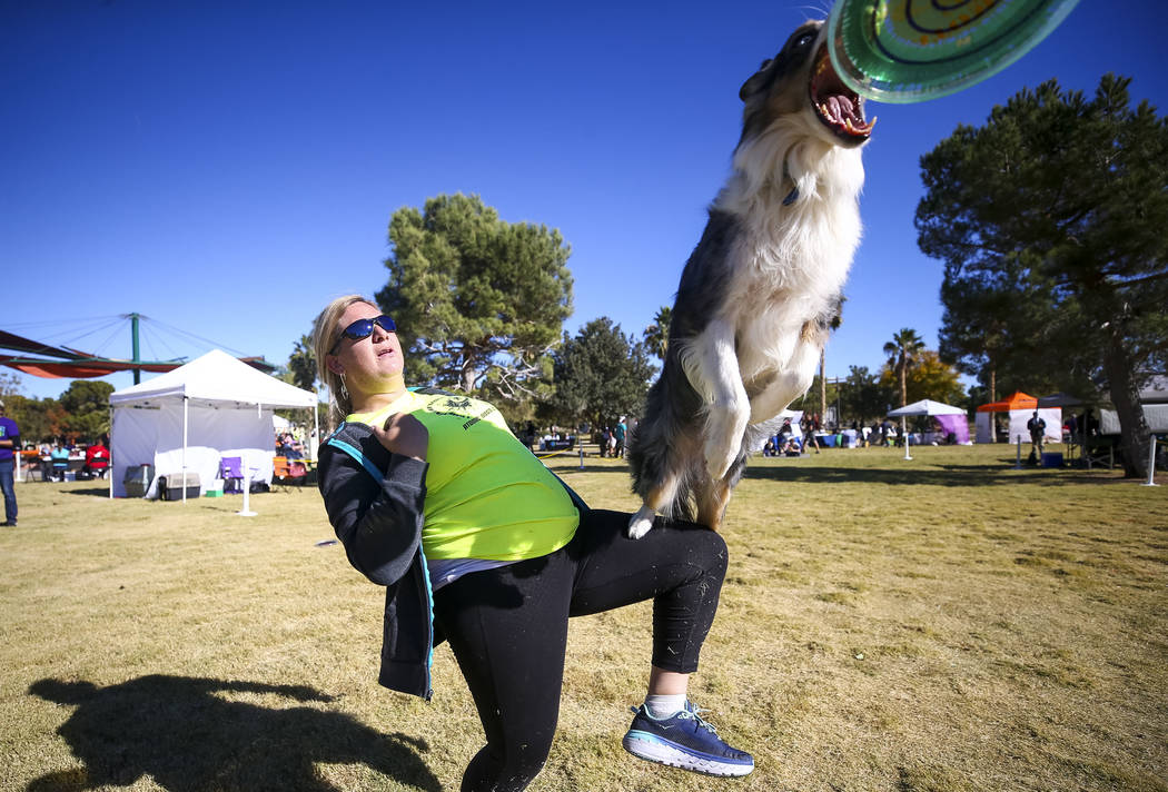 Sierra Pahnke and seven-year-old Ultra, a border collie mix, perform a frisbee routine during the Animal Foundationճ 5th Annual Fast and Furriest 5K event at Sunset Park in Las Vegas, Saturd ...