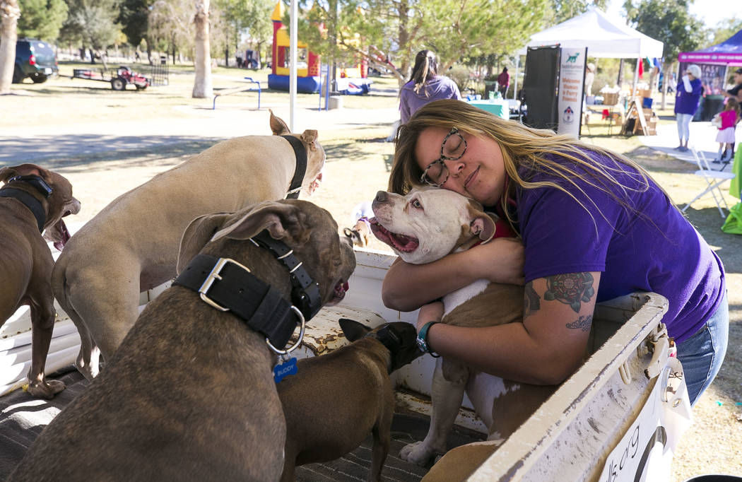 Tasha Crabtree, clinic supervisor for the Animal Foundation, visits the dogs at the Peace, Love and pit bulls kissing booth during the Animal Foundationճ 5th Annual Fast and Furriest 5K even ...