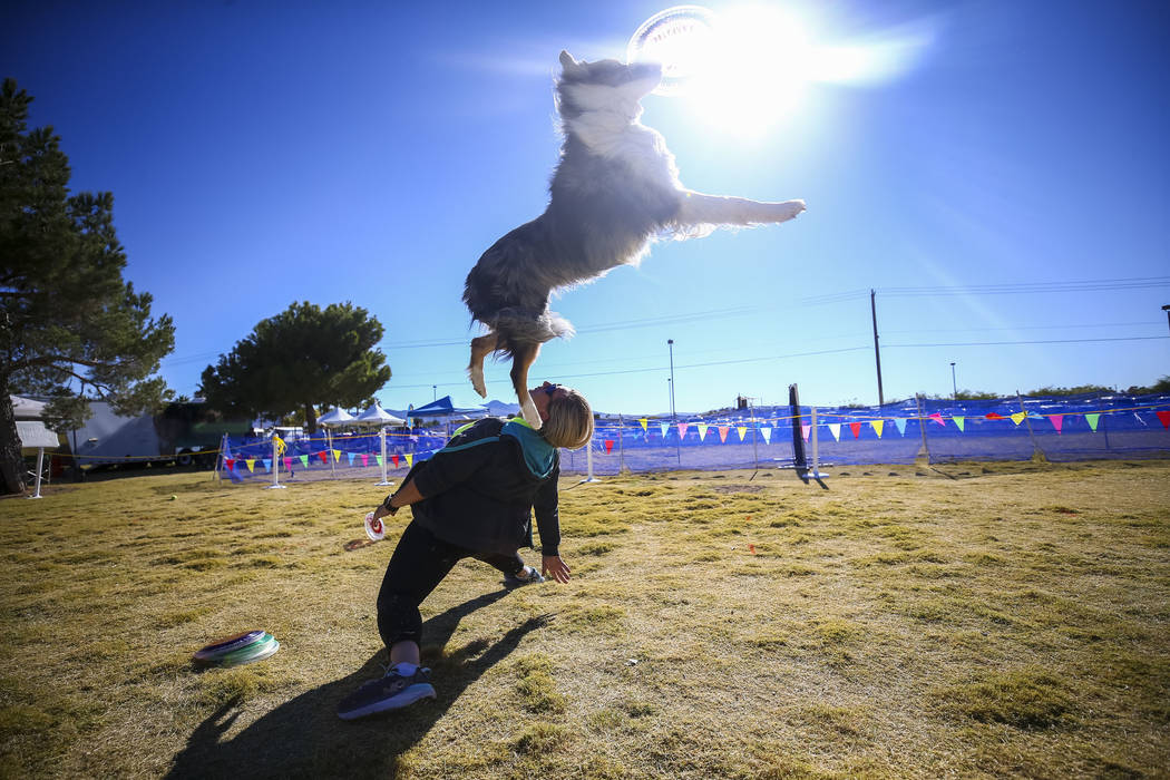 Sierra Pahnke and seven-year-old Ultra, a border collie mix, perform a frisbee routine during the Animal Foundationճ 5th Annual Fast and Furriest 5K event at Sunset Park in Las Vegas, Saturd ...