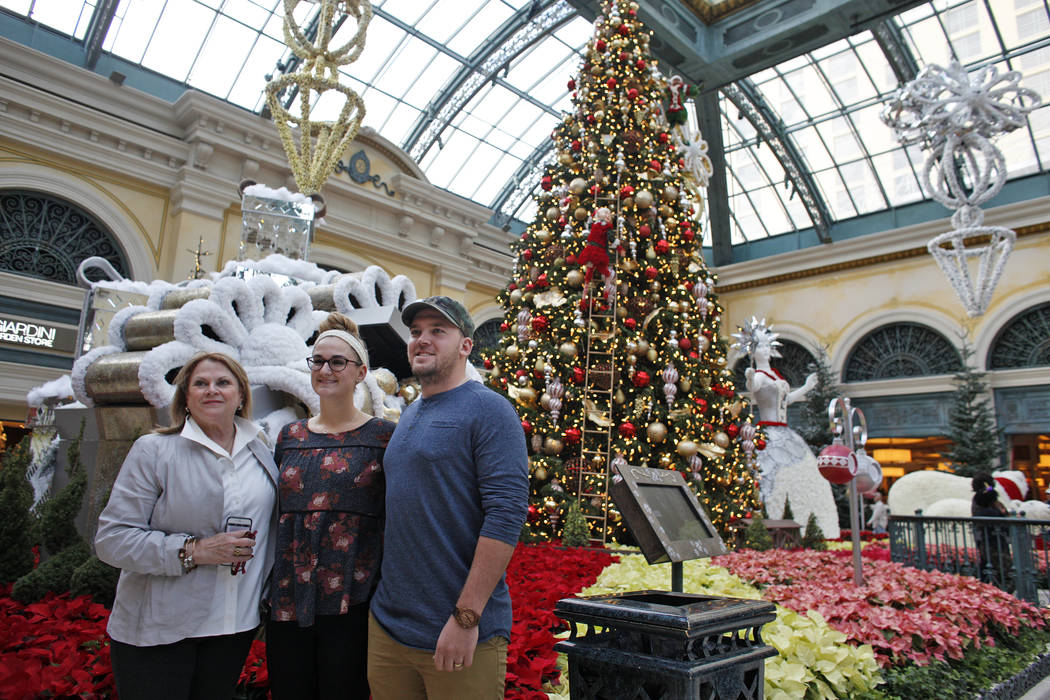 Bellagio Conservatory's new display: 'Eye of the Tiger' honors