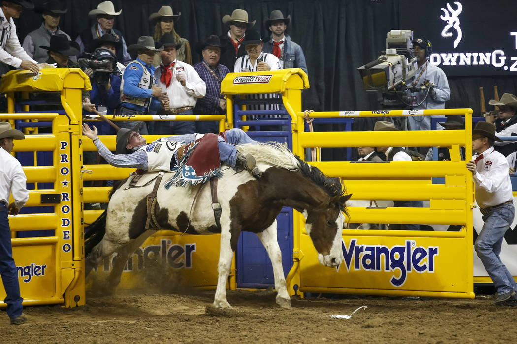 Tim O'Connell of Zwingle, Iowa rides Feather Fluffer in the bareback riding competition during the ninth go-round of the National Finals Rodeo, Friday, Dec. 15, 2017, at the Thomas & Mack Cent ...