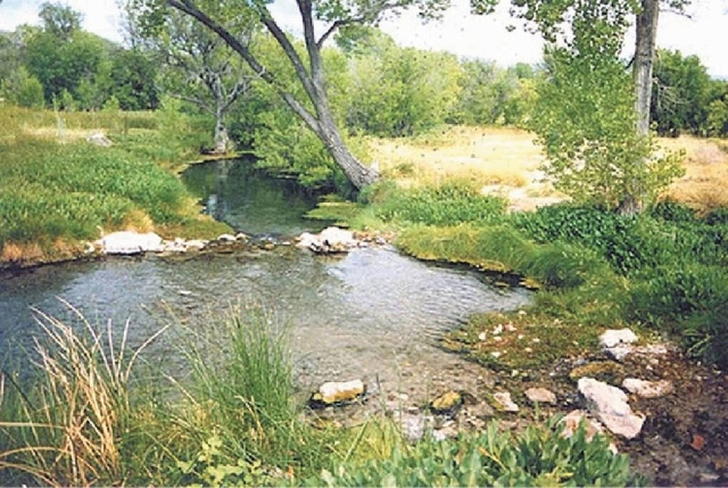 Ash Spring, a popular spring-fed swimming hole in Lincoln County, was closed by the Bureau of Land Management in July 2013 amid concerns about public safety and enviromental damage. (Courtesy, Nev ...