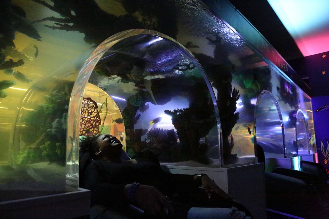 Culture guide Letha Myles takes a brief break in the new Zappos nap room which features a wall-sized aquarium on Thursday, Dec. 21, 2017. Michael Quine/Las Vegas Review-Journal @Vegas88s