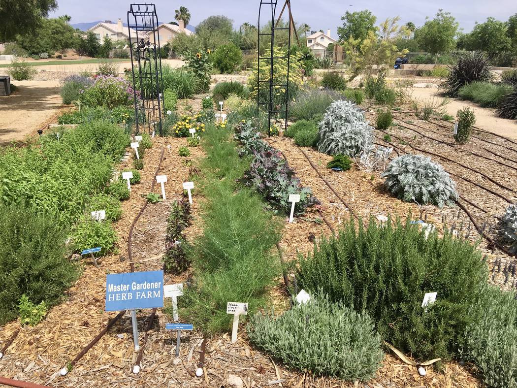 University of Nevada Cooperative Extension
There are many types and sizes of gardens at the Univerisity of Nevada Cooperative Extension's demonstration gardens, with components to invite people, a ...