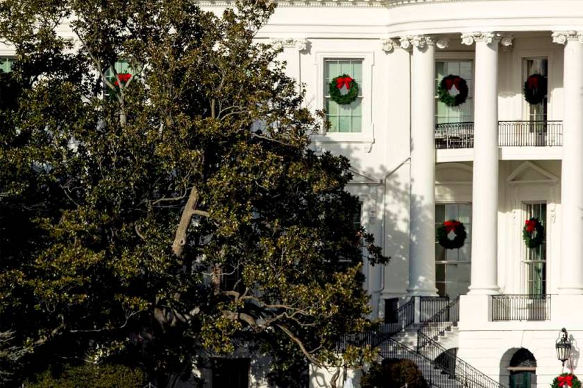 Oldest tree on White House lawn to be cut down, removed Las Vegas