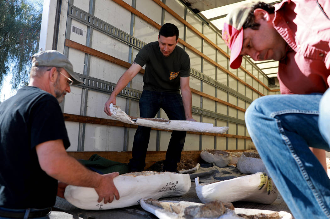 Fabian Hardy, center, helps unload ice age fossils, which were relocated from the San Bernardino County Museum, at the Las Vegas Natural History Museum in Las Vegas, Sunday, Jan. 28, 2018. The fed ...