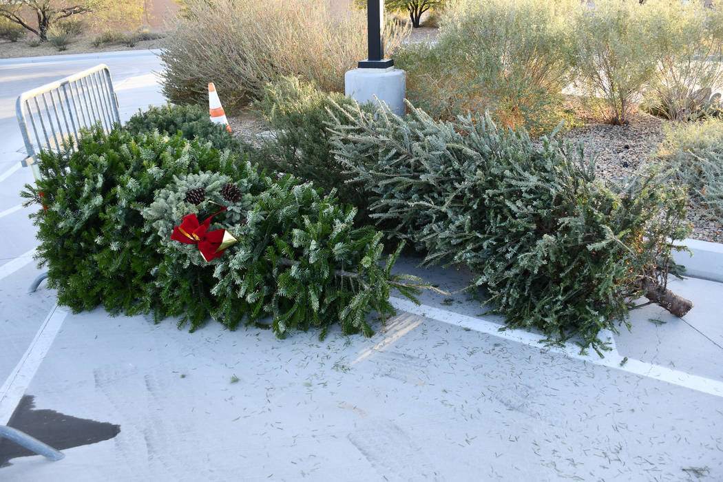 Christmas trees can be dropped off at 30 unmanned locations across the Las Vegas Valley free of charge from Dec. 25 thorough Jan. 15. Shown in photo is the drop-off site near the Springs Preserve. ...