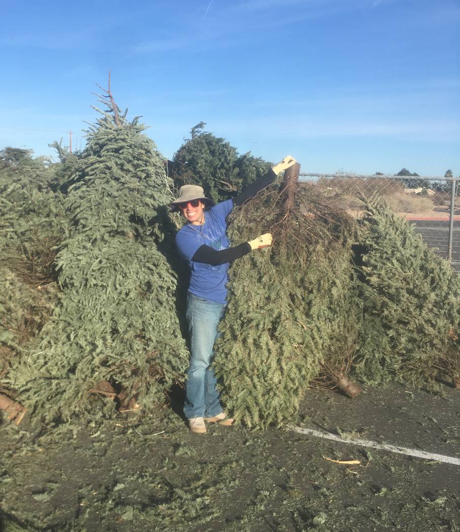 Rachel Lewison, Southern Nevada recycling coordinator at the Nevada Division of Environmental Protection, also serves as a co-chair of the Southern Nevada Christmas Tree Recycling Committee, a coa ...