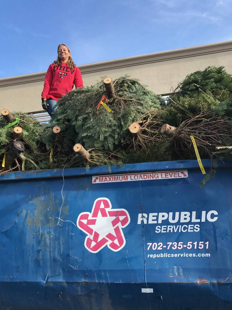 Tara Pike-Nordstrom, UNLV Rebel Recycling Program manager and sustainability coordinator, stands atop fresh-cut Christmas trees in a Lowe's dumpster. Pike-Nordstrom, who also co-chairs Southern Ne ...