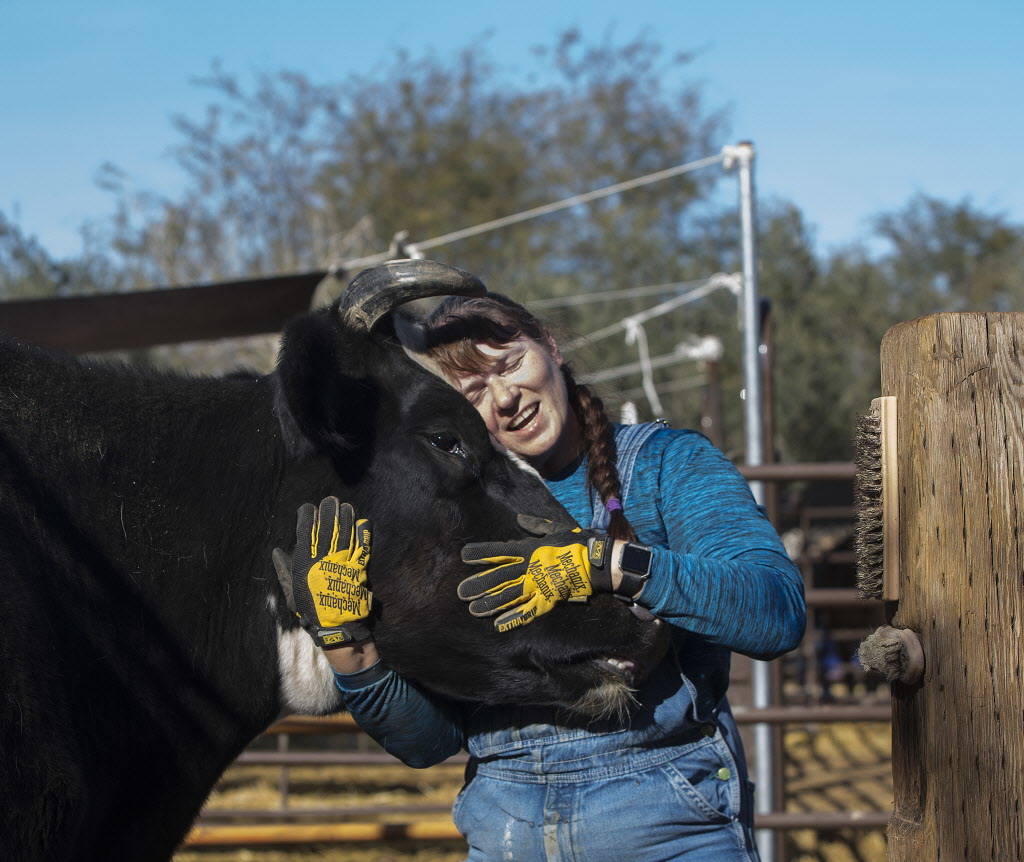 Las Vegas Farm is a familyfriendly sanctuary for animals Life